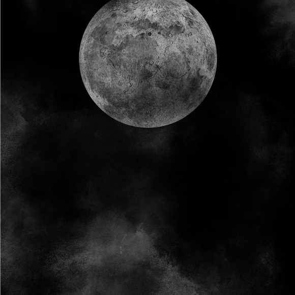 Meet your Posher, Shay - Picture 7 of 7